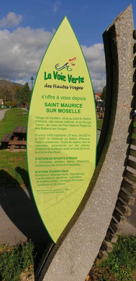 Au Bonheur Fait Maison Bed and Breakfast Saint-Maurice-sur-Moselle Esterno foto