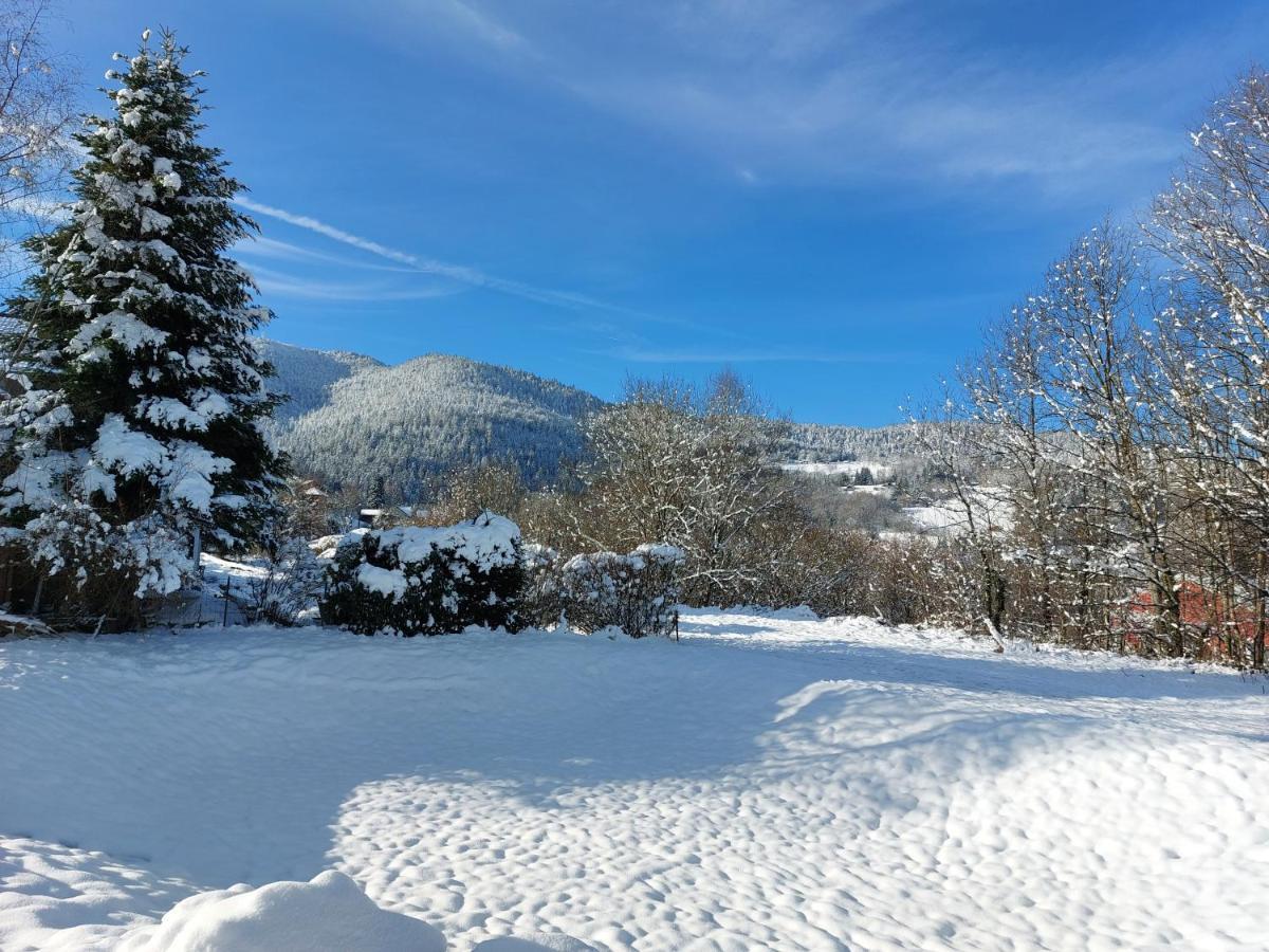 Au Bonheur Fait Maison Bed and Breakfast Saint-Maurice-sur-Moselle Esterno foto